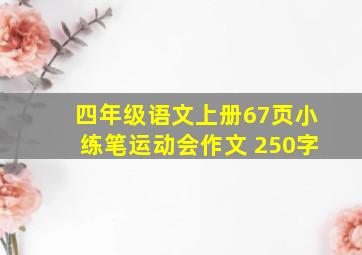 四年级语文上册67页小练笔运动会作文 250字